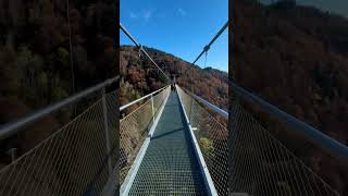 Blackforestline suspension bridge At Todtnauer Waterfall…nature travel shorts youtubeshorts [upl. by Hughett]