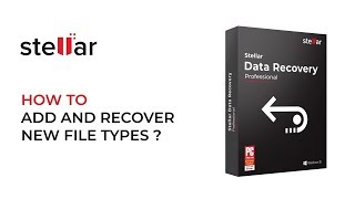 Add New File Types in Stellar Data Recovery Professional for Windows [upl. by Hathcock775]