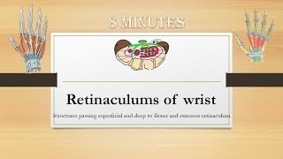 Flexor and Extensor Retinaculums of Wrist [upl. by Bolt363]