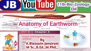 11th Bio Zoo 4 Organ and Organ system in animals Anatomy of Earthworm [upl. by Kriss]