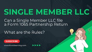 Can I File a Form 1065 For My Single Member LLC [upl. by Hirz80]