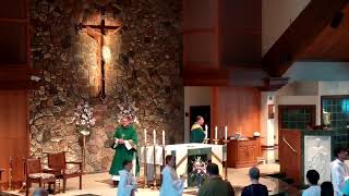 St Francis of Assisi Belchertown Live Stream [upl. by Lattimer898]