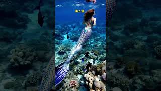 Let’s take a look at the underwater world mermaid underwater photography [upl. by Yna]