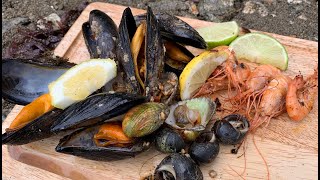 Coastal Foraging  Shellfish Beach Cook Up [upl. by Dagna591]