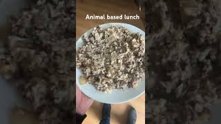 Halloumi and mince risotto animalbased [upl. by Jolynn297]