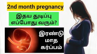 pregnancy tips in tamil  baby heartbeat in pregnancy in tamil  2nd month pregnancy in tamil [upl. by Oluap]