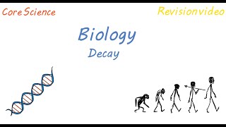 B1 Decay Revision [upl. by Morell]