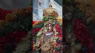 Om Namo Venkateshaya 🙏devotional devotion devotionalsongs tirupati tirumala ttd [upl. by Ares168]