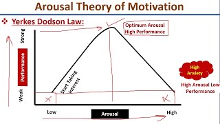 Arousal Theory of MotivationYerkes Dodson LawHebb TheoryUrduHindi [upl. by Lehcar419]