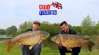 Carp Fishing Cottington Lakes  Day Ticket Diaries  Including a 40lbs plus Mirror carp [upl. by Fotzsyzrk61]