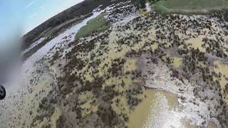 East Australian Waterbird Survey Day 21 4th November 2024 – Barmah Lake [upl. by Shriner]