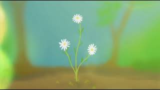 We Are Daisies [upl. by Abbotson]