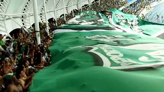 El mejor tapa tribuna de Colombia  Frente Radical Verdiblanco  Deportivo Cali ultras 1992 [upl. by Lseil835]