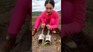 Satisfying Seedlings Planting Tools for Rural Farmer  Helpful Agricultural Tools shorts ytshorts [upl. by Atreb]