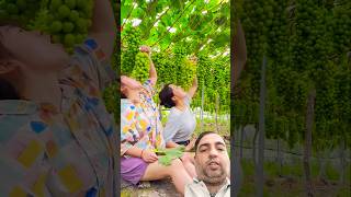 Grapes gardentrending fruit viralvideos shortsfeed shorts [upl. by Margaux]