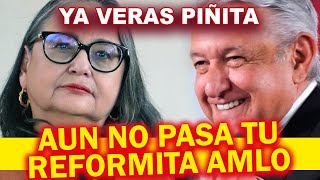 NO NOS VAMOS A DEJAR NORMA PIÑA ENFRENTA a AMLO NO VA a PASAR su REFORMA [upl. by Ayian]