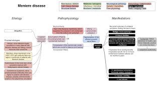 Meniere disease mechanism of disease [upl. by Gleason]