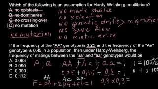 HardyWeinberg idealized population requirements [upl. by Joiner]