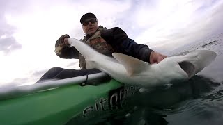 PESCA DE TIBURONES DE AGUA FRÍA [upl. by Conn]