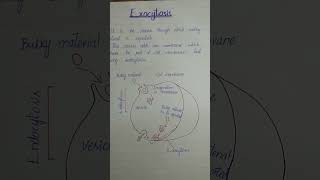 endocytosis and exocytosis  class 9chp4endocytosisphagocytosis amp pinocytosis amp exocytosis [upl. by Deroo129]