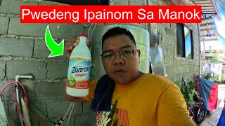 Gamot sa sipon at halak ng manok [upl. by Mair]