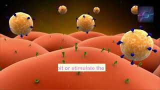 Unlocking the Potential  GPCR Targeted Antibodies in Modern Medicine  Therapeutic Discovery [upl. by Julie652]