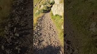 Hiking in the Lofoten norwaytravel hikingadventures [upl. by Esiouqrut]