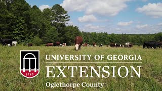 Oglethorpe Extension ANR Impact Video [upl. by Danete]