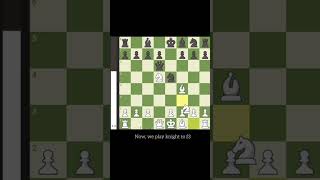 Englund gambit trap  Chess Tips and Tricks [upl. by Ycrep]