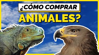 ¿CÓMO comprar animales EXÓTICOS de forma legal en MÉXICO  ¿QUÉ es la Nom 059 [upl. by Columbyne]