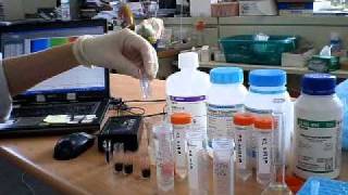 IB Chemistry Iodine clock reaction kinetics using visible spectrophotometer [upl. by Nnaj]