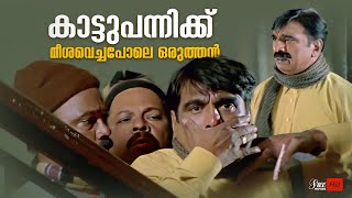 കാട്ടുപന്നിക്ക് മീശവെച്ചപോലെ ഒരുത്തൻ  Cochin Haneefa comedy scene  vettam [upl. by Onyx]