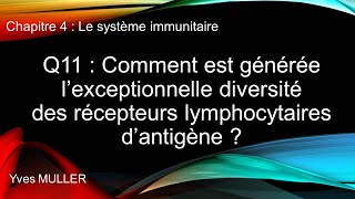 Chap 4  Le système immunitaire  Q11  Comment est générée la diversité des récepteurs dantigène [upl. by Ellednahc380]