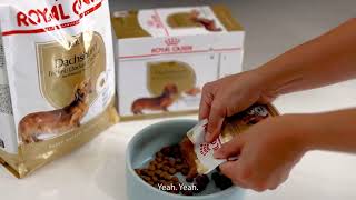 Know all about Royal Canin Dachshund Dog Food [upl. by Durrej133]