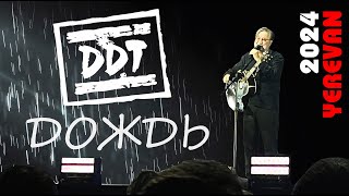 ДДТ  Дождь  DDT  Live  Yerevan Armenia 03112024 Юрий Шевчук  Yuri Shevchuk [upl. by Wayland651]