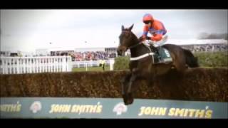 Sprinter Sacre Tribute  Dare To Be Different [upl. by Derwin]