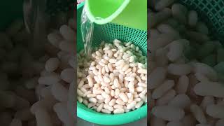 Minatamis na Beans recipe  dessert pinoy fyp beans food shorts [upl. by Asselem593]