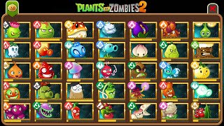 PLANTS VS ZOMBIES 2  ALL PREMIUM PLANTS ABILITY amp POWER UP All Mastery Level in PvZ2 [upl. by Burt]