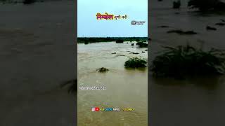 लूणी नदी निंबोल jaitarannews जैतारण jaitaran river flood [upl. by Shem]