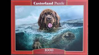 Puzzle Big Brown 1000 pieces Castorland [upl. by Aggie]