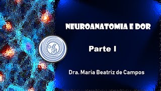 NEUROANATOMIA E DOR  PARTE 1 [upl. by Kenlee489]