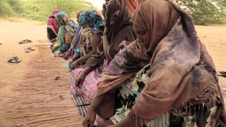 Somaliland  Changing the odds [upl. by Allistir]