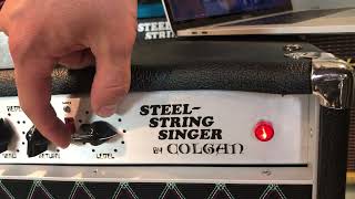 CRANKED Steel String Singer 002 SRV Demo  DIY Dumble Clone by R Colgan [upl. by Arotal]