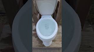 Extremely Powerful Kohler Highline Toilet Overflow [upl. by Schuster]