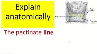 Explain anatomically the pectinate line [upl. by Odrareve]