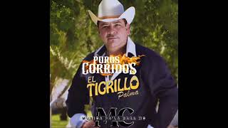 Mix De Puros Corridos De El Tigrillo Palma [upl. by Brantley]