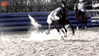 HorseBall  The most impressive equestrian sport [upl. by Hulen]