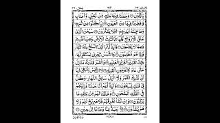 Surah YasinYaseen  Full With Arabic  Beautiful Recitation  36th chapter of the Quran  islam [upl. by Devonna]