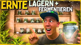 Die Ernte ist da 😱 Lagern und richtig Fermentieren für Anfänger [upl. by Arihaz]