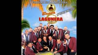 Banda Lagunera  Cumbias De La Lagunera Audio [upl. by Llerruj]